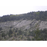 photo miniature